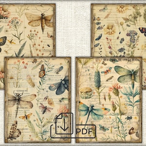 Vintage Junk Journal Ephemera,Moths and dragonflies Collage Sheet