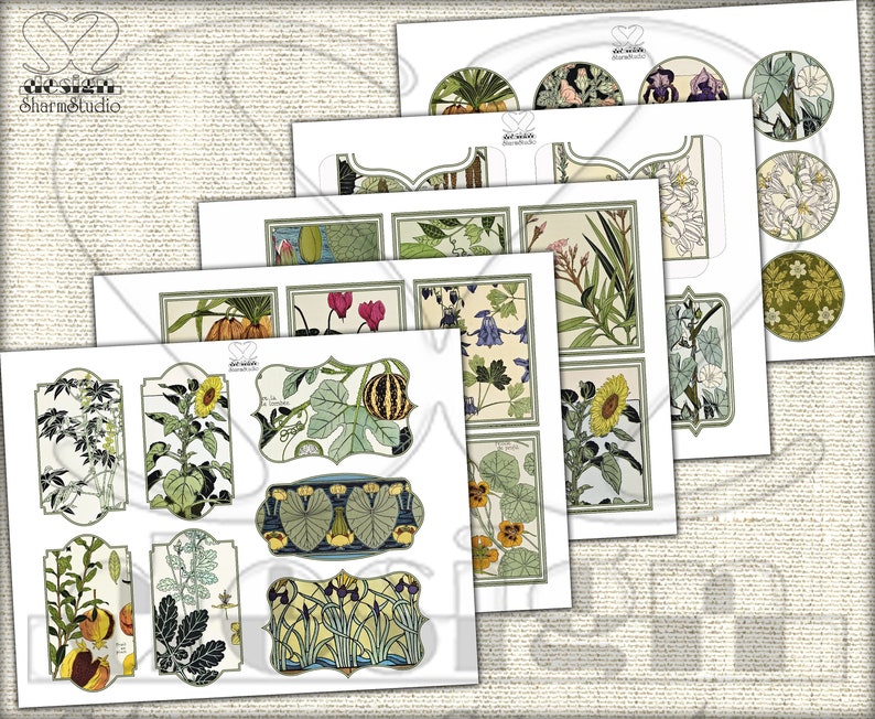 Vintage Botanische Junk-Journal-Seiten, Bildcollage Studie einer Pflanze ADDON Bild 7