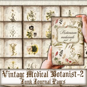 Medieval Botanical - 20 Pages Botanical Illustrations