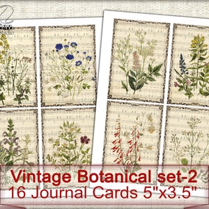 May include: Set of 16 vintage botanical journal cards featuring illustrations of various flowers and plants on a beige background with musical notes. Each card measures 5 inches by 3.5 inches.