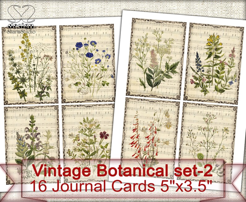 May include: Set of 16 vintage botanical journal cards featuring illustrations of various flowers and plants on a beige background with musical notes. Each card measures 5 inches by 3.5 inches.