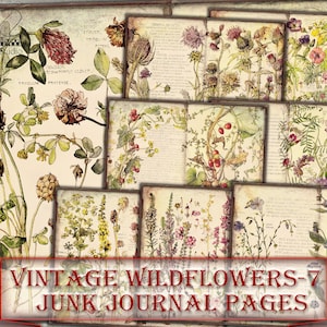 Vintage botanische wilde bloemen ongewenste dagboekpagina's, fotocollage, digitale bladdownload