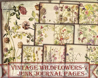 Vintage Botanical Wildflowers junk journal Pages,picture collage,Digital Sheet Download