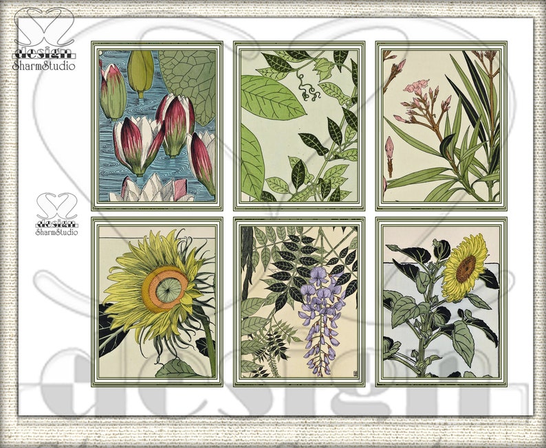 Vintage Botanische Junk-Journal-Seiten, Bildcollage Studie einer Pflanze ADDON Bild 4