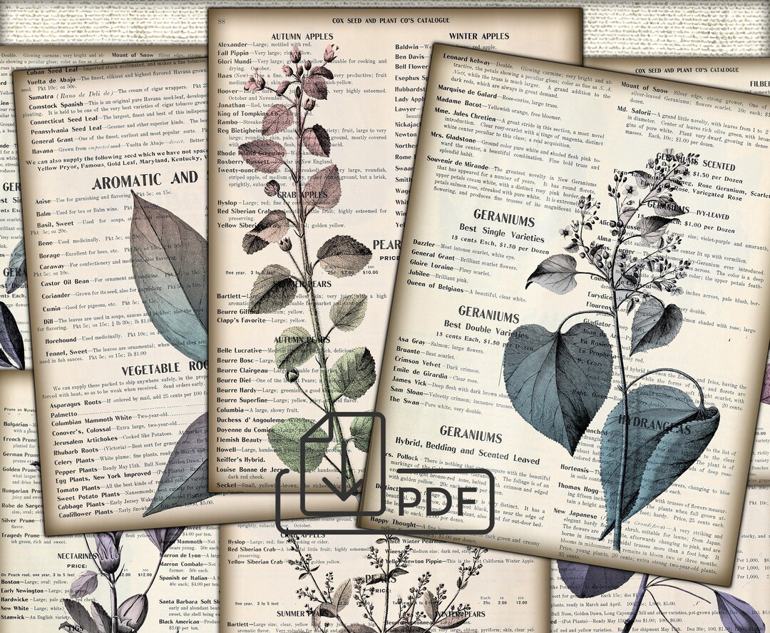 Vintage Botanical Junk Journal Ephemera - Digital Collage Sheet ...