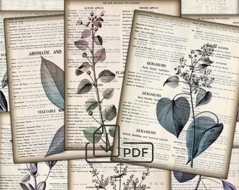 Vintage Botanical Junk Journal Ephemera - Digital Collage Sheet Download