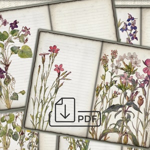Páginas de diário de lixo botânico vintage de flores silvestres, colagem de fotos, download de folha digital