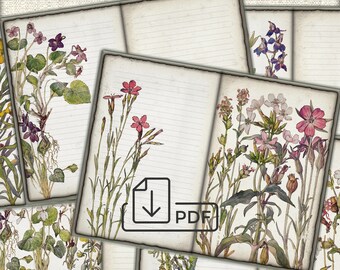 Páginas del diario basura de flores silvestres botánicas vintage, collage de imágenes, descarga de hojas digitales
