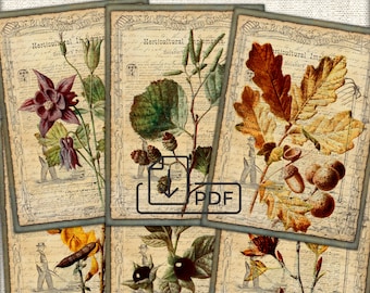 Fall Junk Journal Vintage Ephemera,collage printable cards Atc ACEO