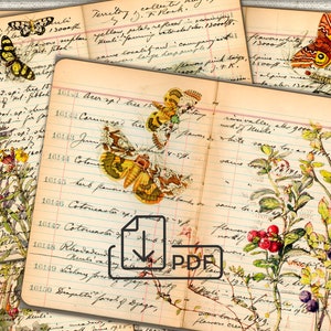 Páginas de diário de lixo botânico de ervas vintage, colagem de fotos, download de folha digital
