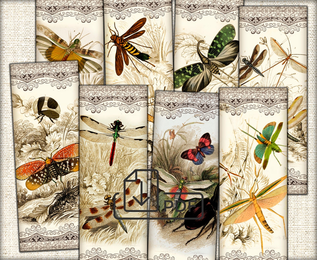 Vintage Insects Dragonfly Tags Printable Digital Bookmark Junk Journal ...