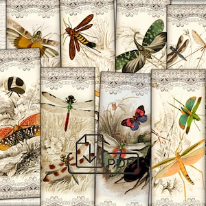Vintage insects Dragonfly Tags Printable digital bookmark Junk Journal Ephemera