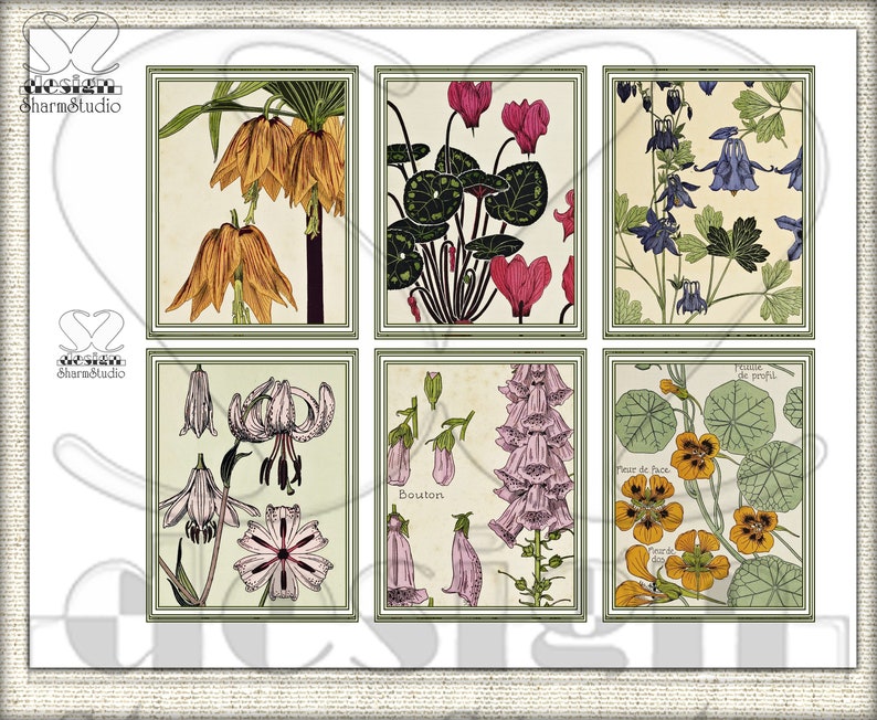 Vintage Botanische Junk-Journal-Seiten, Bildcollage Studie einer Pflanze ADDON Bild 3