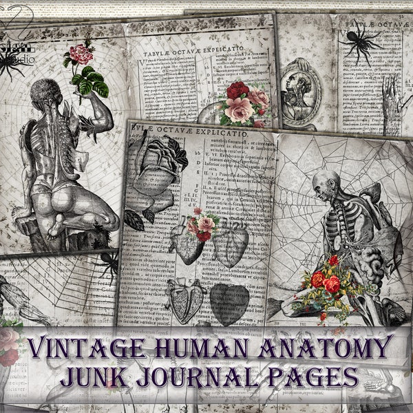 Vintage Human Anatomy decor Junk Journal Pages,picture collage,Digital Sheet Download