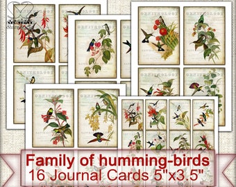 Vintage Junk Journal Ephemera,cards set Family of humming-birds