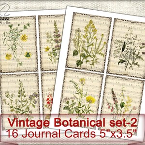 May include: Set of 16 vintage botanical journal cards featuring illustrations of various flowers and plants on a music sheet background. Each card measures 5 inches by 3.5 inches.