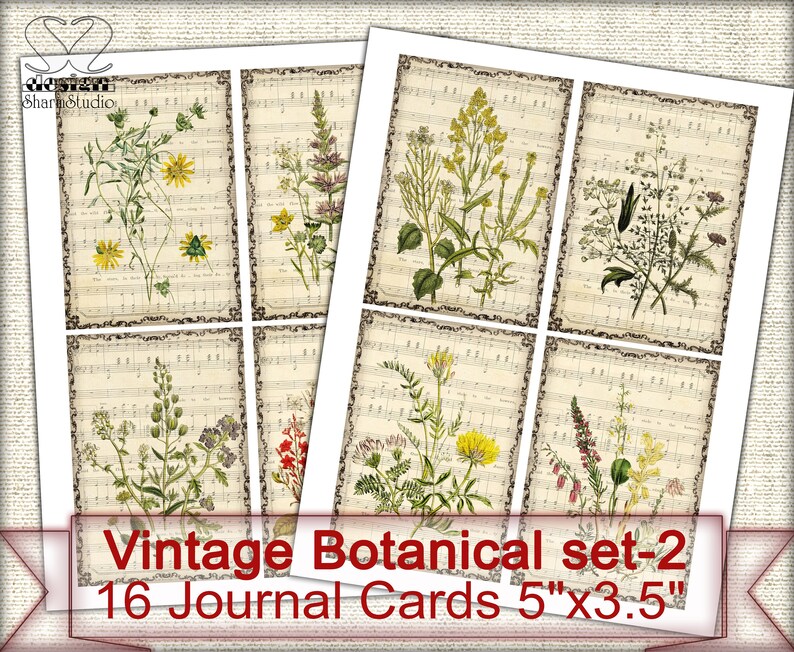 May include: Set of 16 vintage botanical journal cards featuring illustrations of various flowers and plants on a music sheet background. Each card measures 5 inches by 3.5 inches.