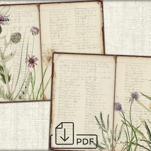 Vintage Botanical Wildflowers junk journal Pages,picture collage,Digital Sheet Download image 4