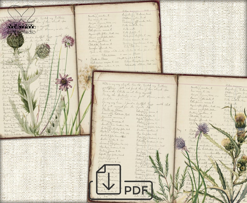 Vintage Botanical Wildflowers junk journal Pages,picture collage,Digital Sheet Download image 4