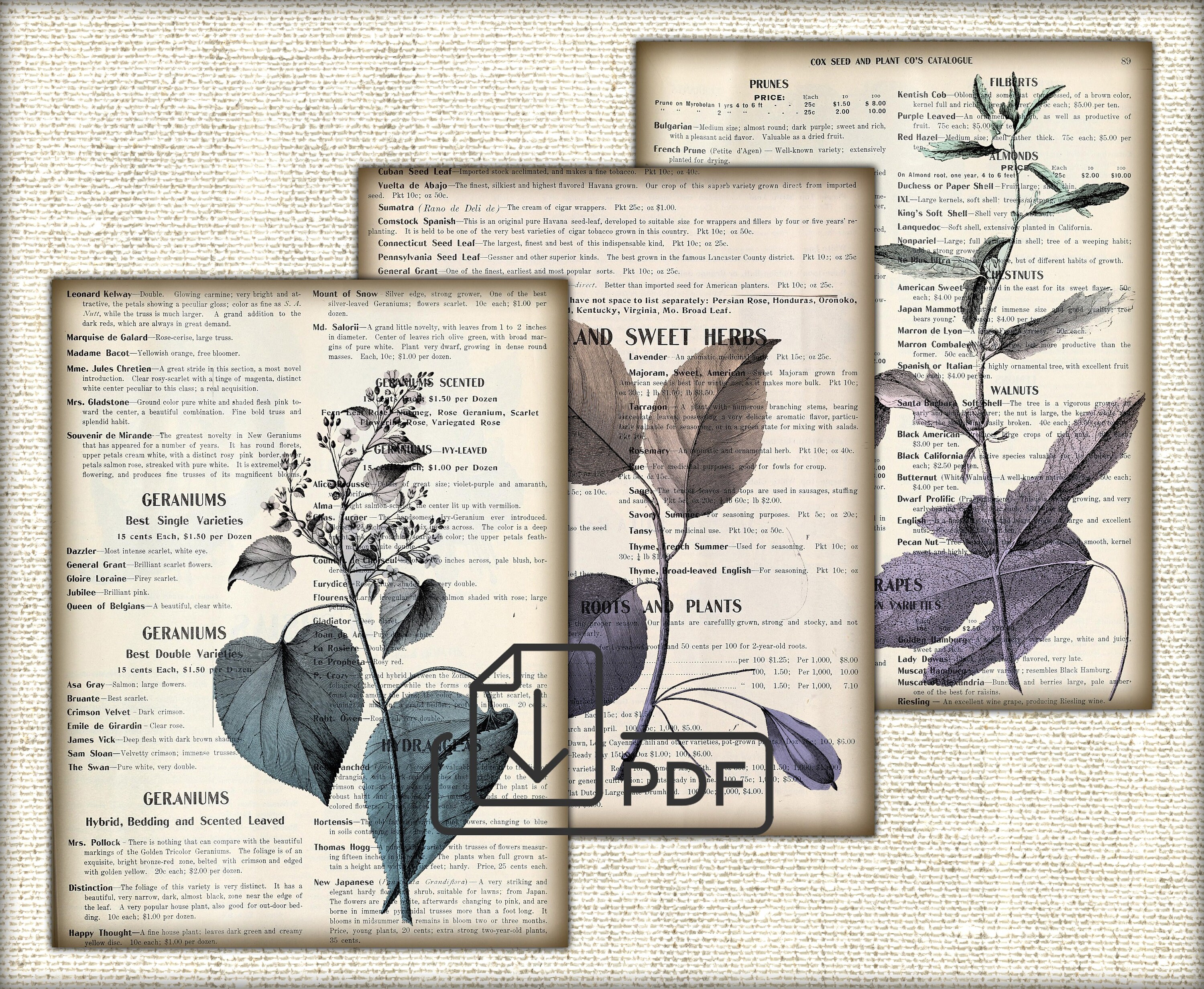 Vintage Botanical Junk Journal Ephemera Digital Collage - Etsy