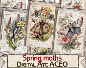 Vintage Spring moths card set,Collage insects Digital picture printable cards Atc ACEO