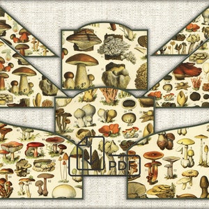 vintage Champignons botaniques éphémères poches de journal numérique imprimables, conceptions de poche en papier