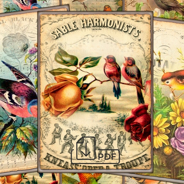 Collage atc cards Vintage Birds Sheet Tags Digital paper,picture printable,Digital llustration ACEO