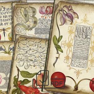 Vintage Botanical Junk Journal Ephemera - Feuille de collage numérique à télécharger