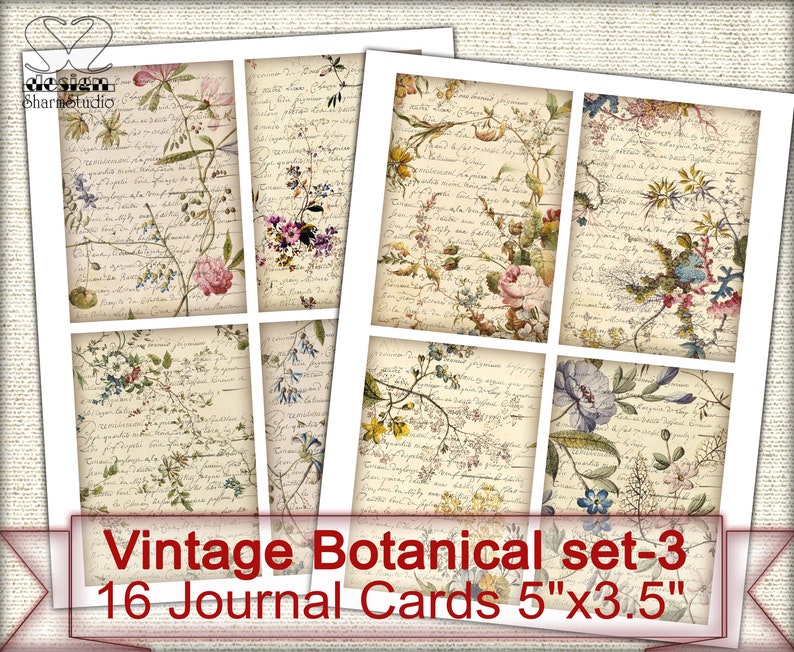 Puede incluir: Conjunto de 16 tarjetas de diario bot&aacute;nico vintage con ilustraciones florales sobre un fondo de texto escrito a mano. Cada tarjeta mide 12,7 cm por 8,9 cm.