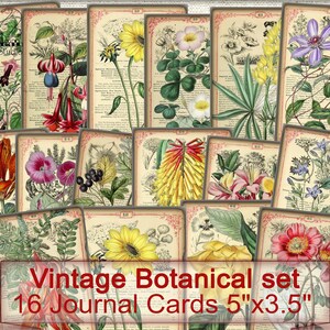 Grunge Vintage botanische kaarten set, digitale Collage blad bloemen, Junk Journal Ephemera