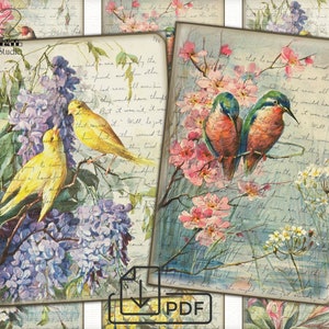 Vintage Birds Sheet Tags Digital paper,picture printable,Digital llustration ACEO