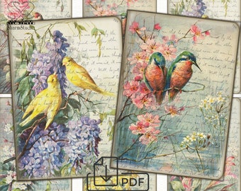 Vintage Birds Sheet Tags Digital paper,picture printable,Digital llustration ACEO