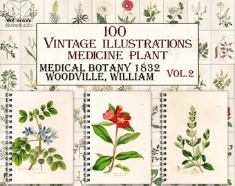 Vintage medicine botany plants,botanical pages,herbal plant,Medical botany-2 illustrations