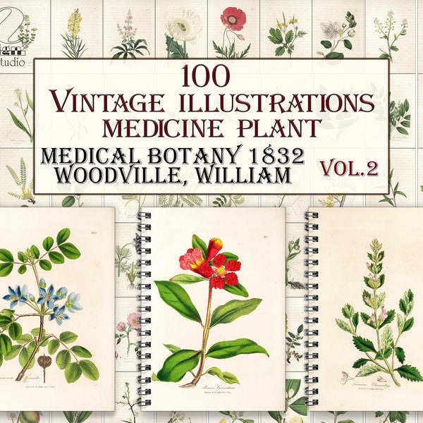 Vintage medicine botany plants,botanical pages,herbal plant,Medical botany-2 illustrations