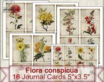 Vintage Junk Journal Ephemera,Botanical cards set,Digital Collage Sheet