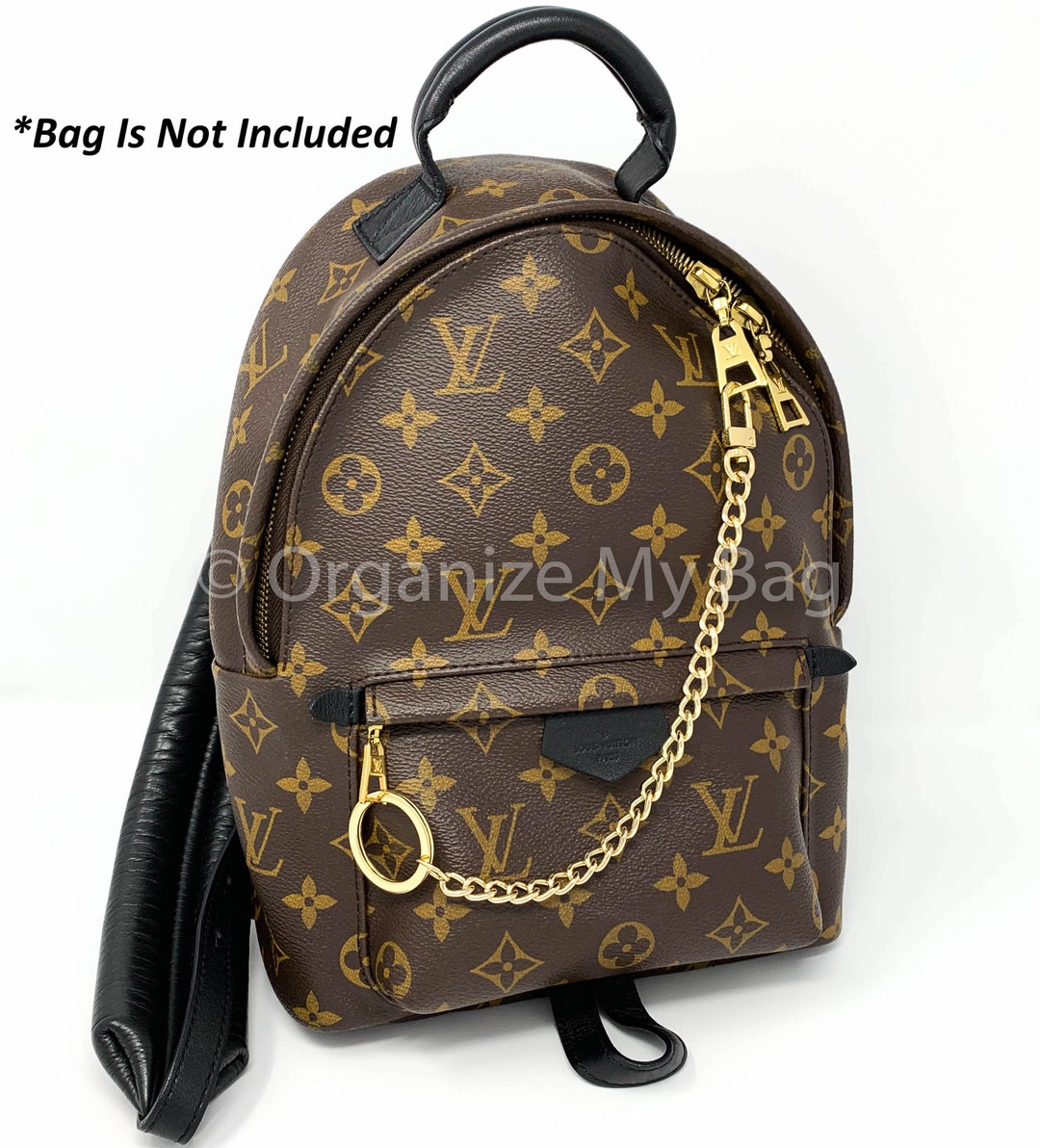Louis Vuitton Palm Springs Mini Backpack Dupe 2068