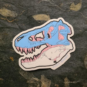 Pegatina de orgullo de Trans-osaurus rex: pegatina de vinilo troquelada con calavera de Tyrannosaurus rex - LGBTQIA+