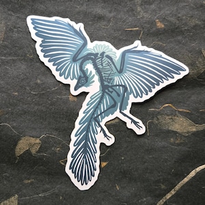 May include: A sticker featuring a stylized illustration of a bird skeleton with blue-grey wings and tail feathers. The bird is depicted in a flying pose, with its skeletal structure visible. The sticker has a white border and is set against a dark, textured background.
