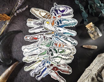 May include: A collection of die-cut stickers featuring various dinosaur skull illustrations in diverse colors including blue, green, red, and purple. Each skull is detailed with black outlines and white borders, showcasing different prehistoric species.