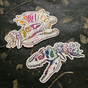 Allosaurus & Dilophosaurus - Large Clear Vinyl Stickers