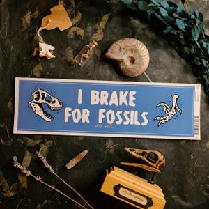 Dinosaur Bumper Sticker - ‘I Brake for Fossils’ - High Quality Weather & Fade-Resistant Vinyl