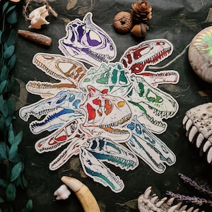 Dinosaur Skulls - Carnivores - High Quality Clear Vinyl Stickers - Choose Your Own!