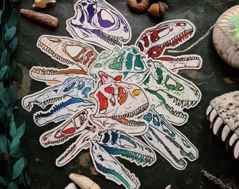 Cráneos de dinosaurios - Carnívoros - Pegatinas de vinilo transparente de alta calidad - ¡Elige la tuya!
