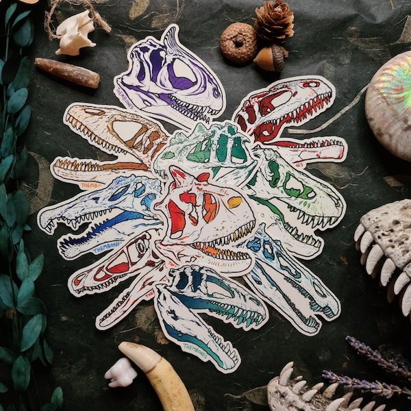 Cráneos de dinosaurios - Carnívoros - Pegatinas de vinilo transparente de alta calidad - ¡Elige la tuya!