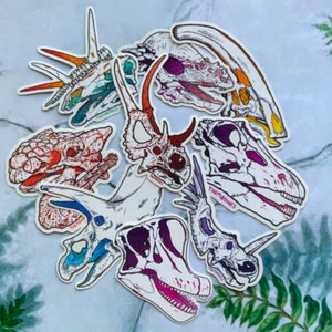 Dinosaur Skulls - Herbivores - High Quality Clear Vinyl Stickers - Choose Your Own!