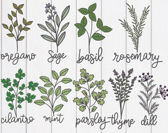 Download Herbs Svg Etsy