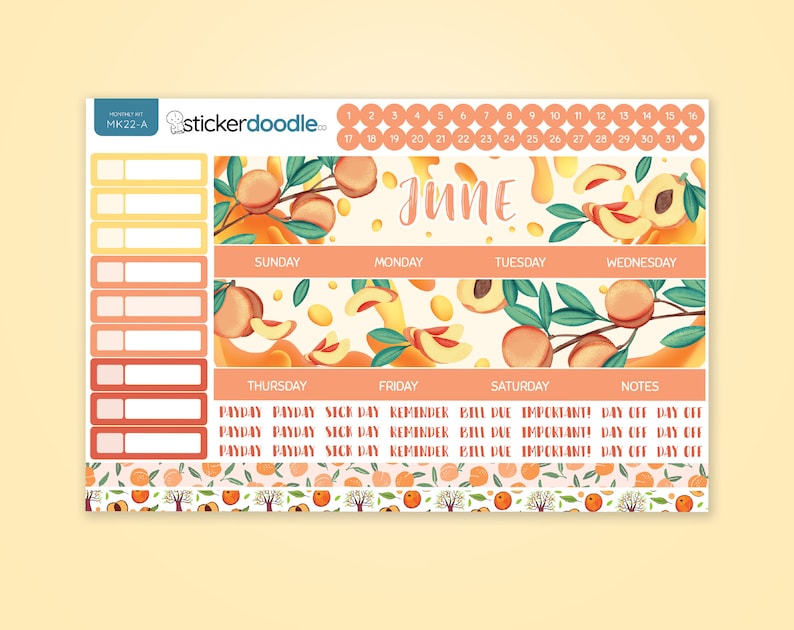 June Monthly Planner Kit Stickers, Bright and Cheerful Peach Theme MK22