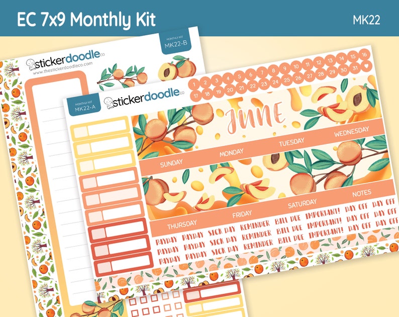 June monthly planner kit stickers bright and cheerful peach etsy
