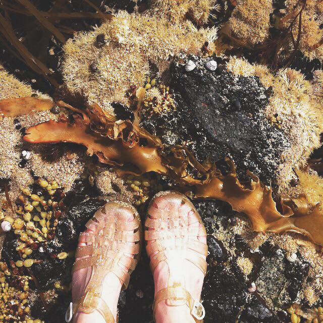 Original French Jelly Shoes Gold Glitter Jelly Sandals Etsy Australia