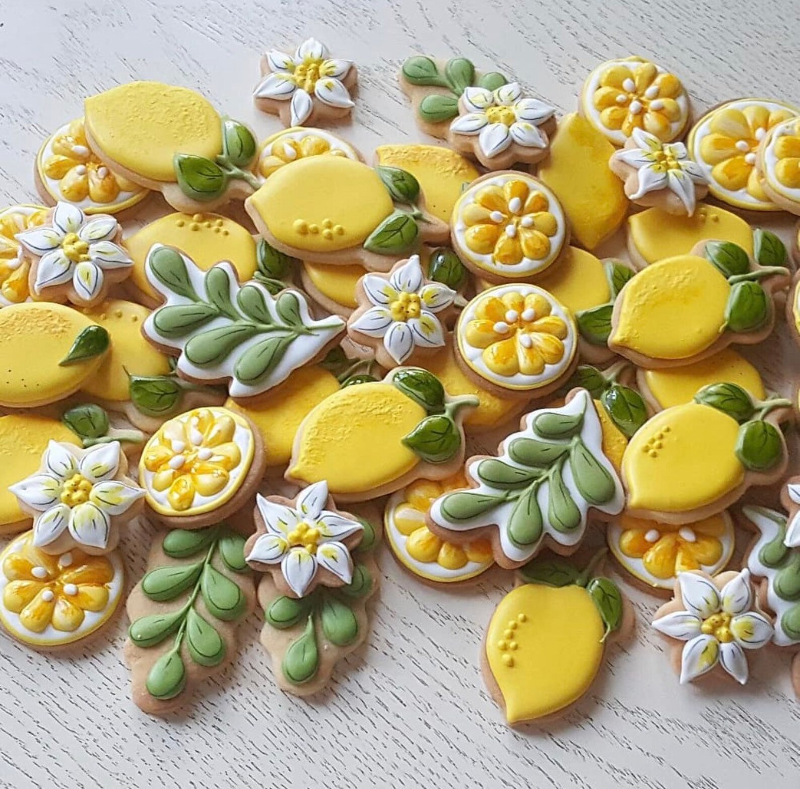 12pcs 1 dozen Decorated Sugar Cookies Amalfi Coast Themed | Etsy